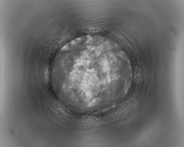 X0000112950866200909211152