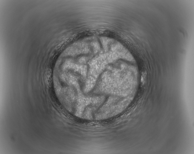 X0000112950867200909211152