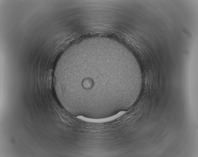 X0000112950868200909211152