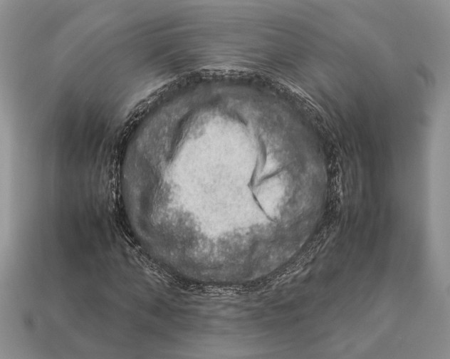 X0000112950870200909211152