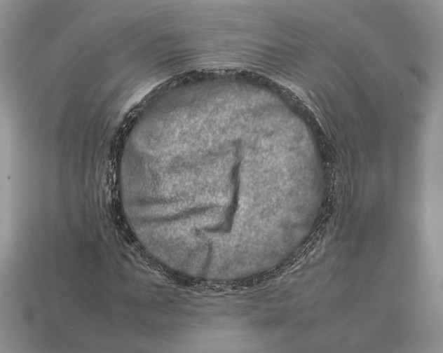 X0000112950871200909211152