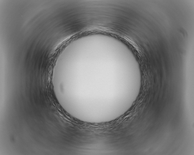 X0000112950872200909211152