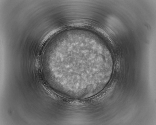 X0000112950874200909211152