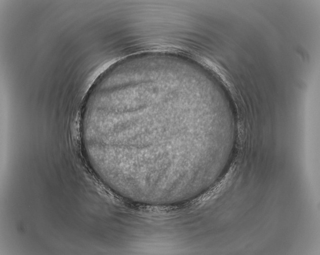 X0000112950875200909211152