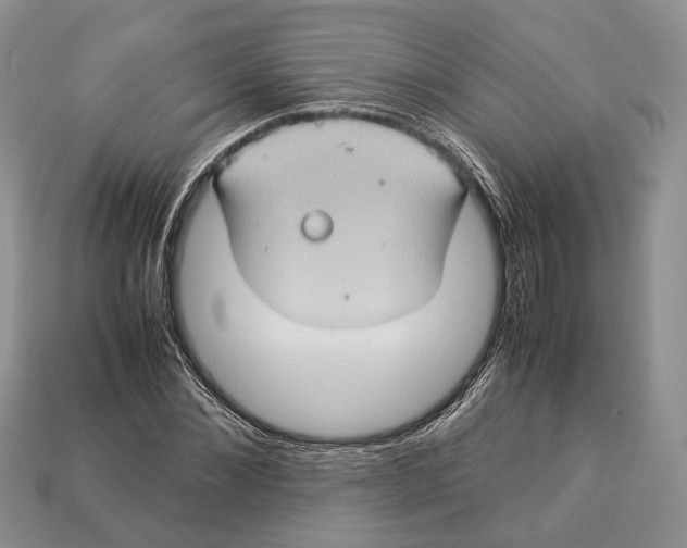 X0000112950876200909211152