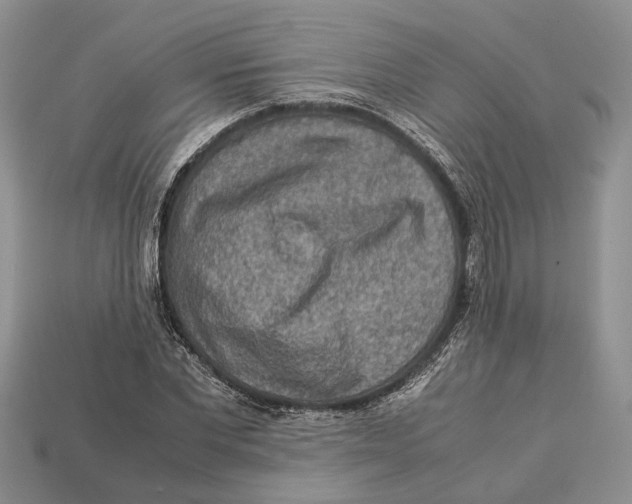 X0000112950877200909211152