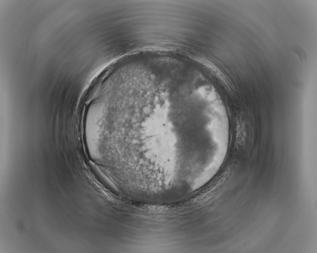 X0000112950878200909211152