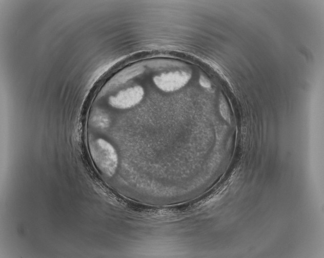 X0000112950879200909211152