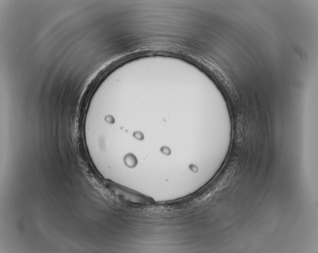 X0000112950880200909211152