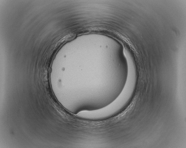 X0000112950881200909211152