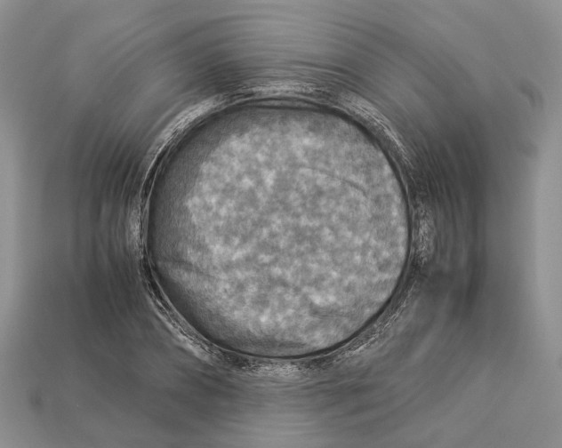 X0000112950882200909211152