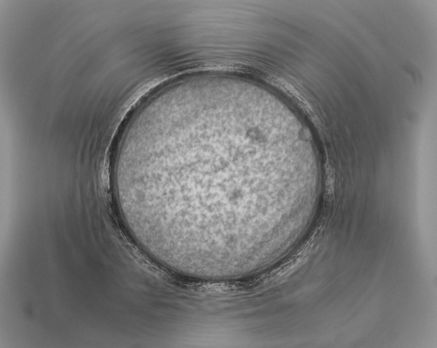 X0000112950883200909211152