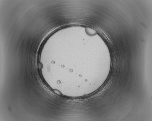 X0000112950884200909211152