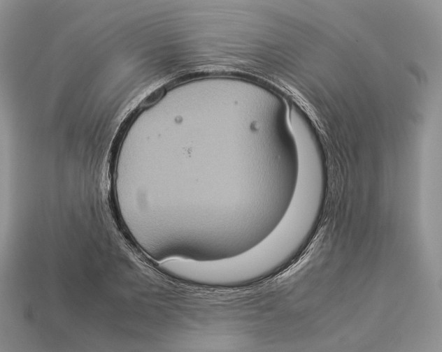 X0000112950885200909211152