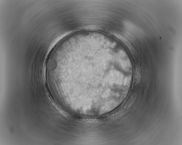 X0000112950886200909211152