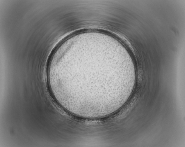 X0000112950887200909211152