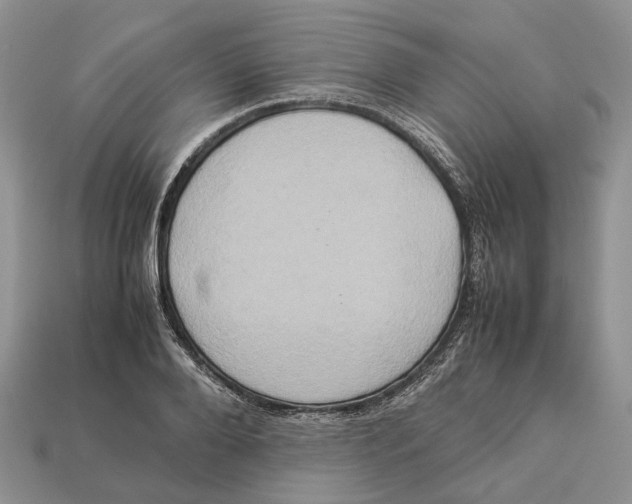 X0000112950888200909211152