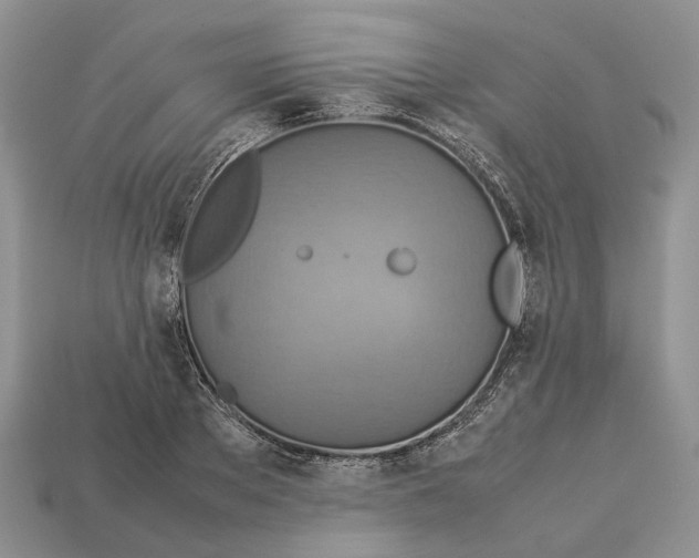 X0000112950889200909211152