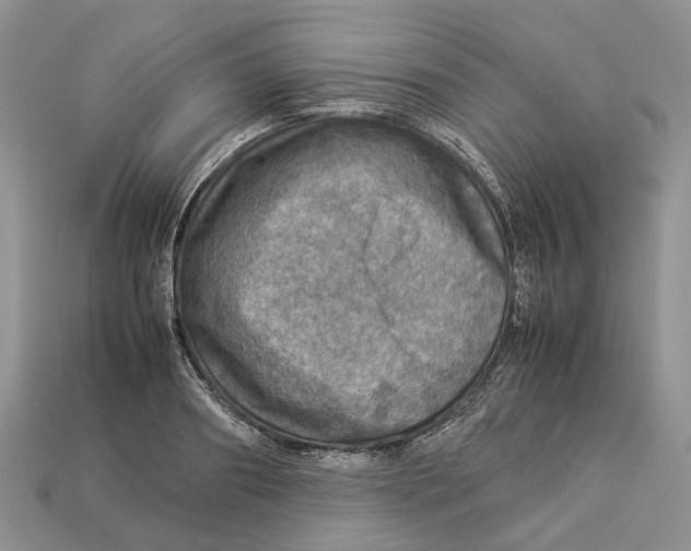 X0000112950890200909211152