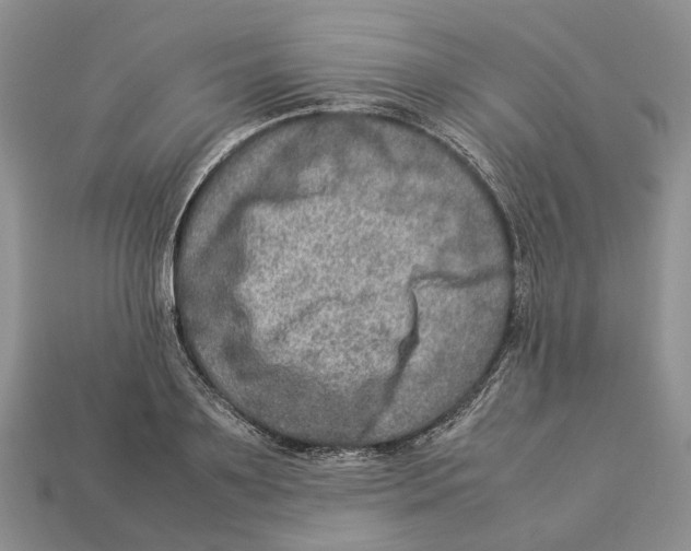 X0000112950891200909211152