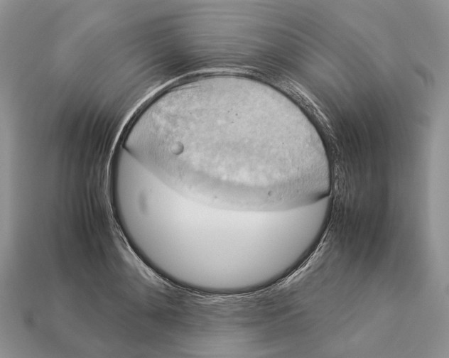 X0000112950892200909211152