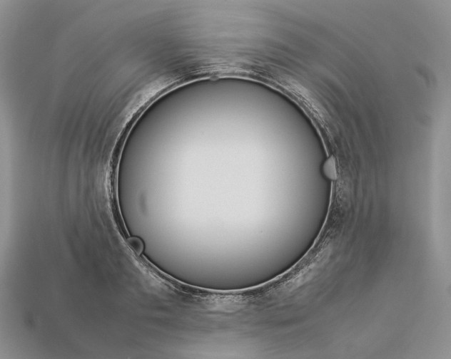 X0000112950893200909211152