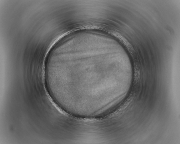 X0000112950894200909211152