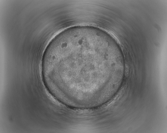 X0000112950895200909211152