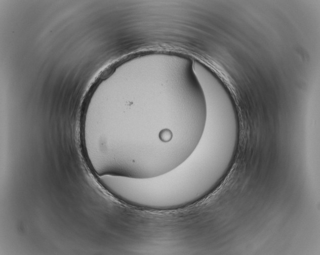 X0000112950896200909211152