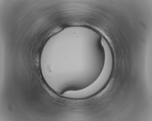 X0000112950897200909211152