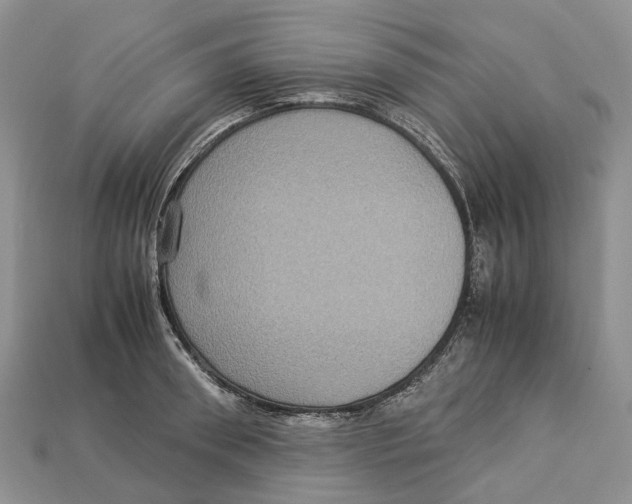 X0000112950898200909211152