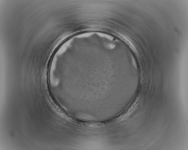 X0000112950899200909211152