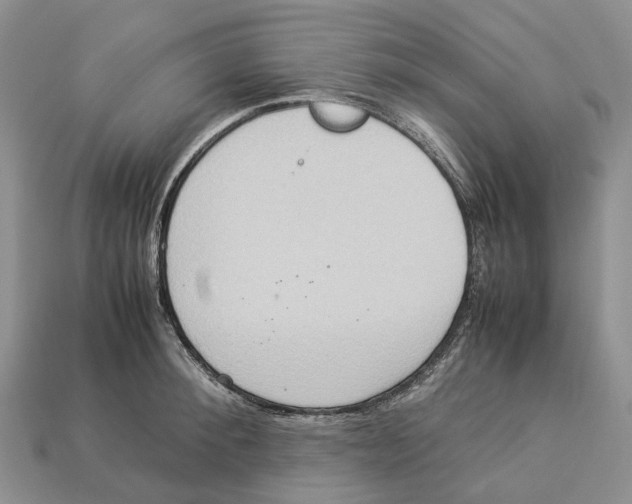 X0000112950900200909211152