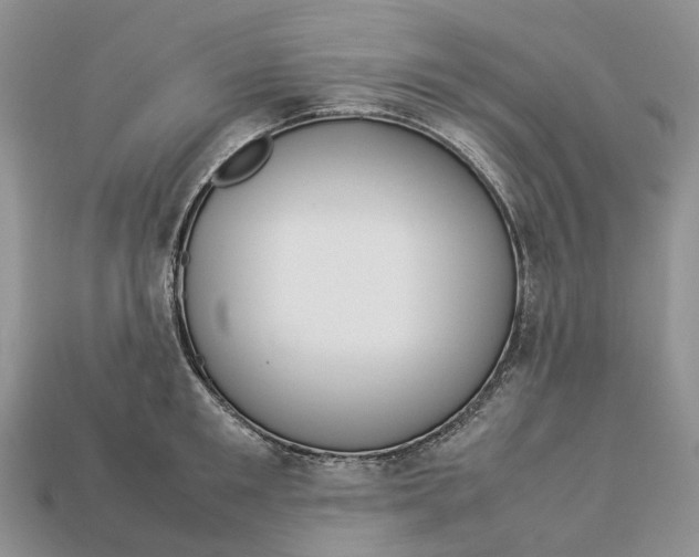 X0000112950901200909211152