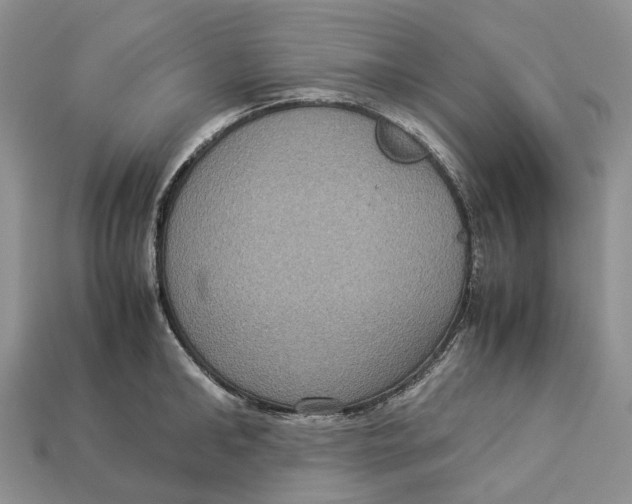 X0000112950902200909211152