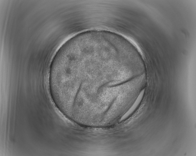 X0000112950903200909211152