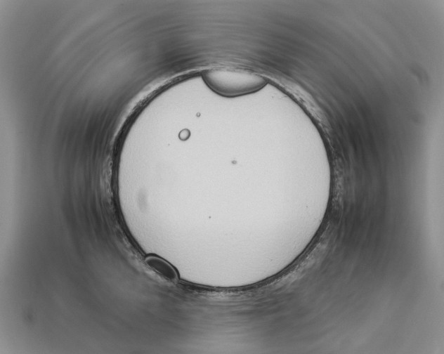 X0000112950904200909211152