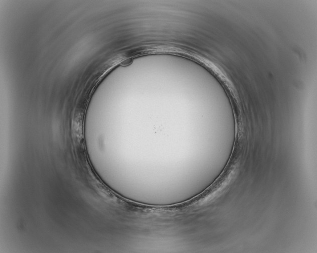 X0000112950905200909211152