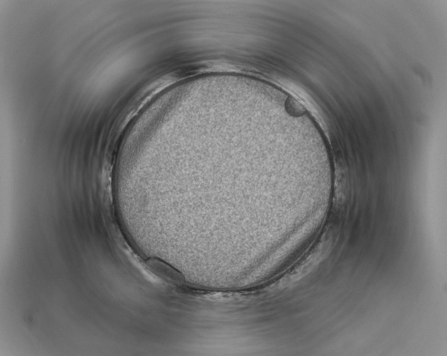 X0000112950906200909211152