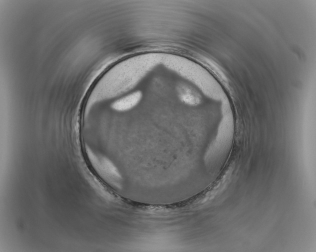 X0000112950907200909211152