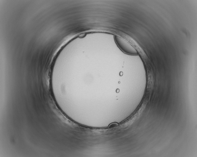 X0000112950908200909211152