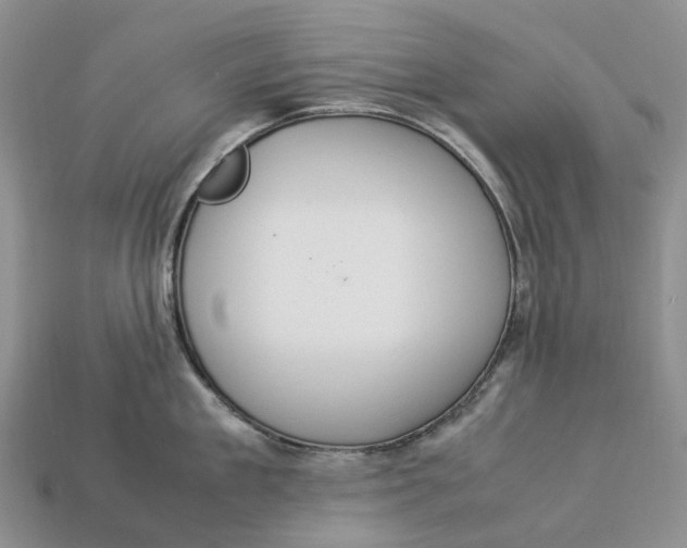 X0000112950909200909211152