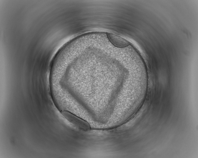 X0000112950910200909211152