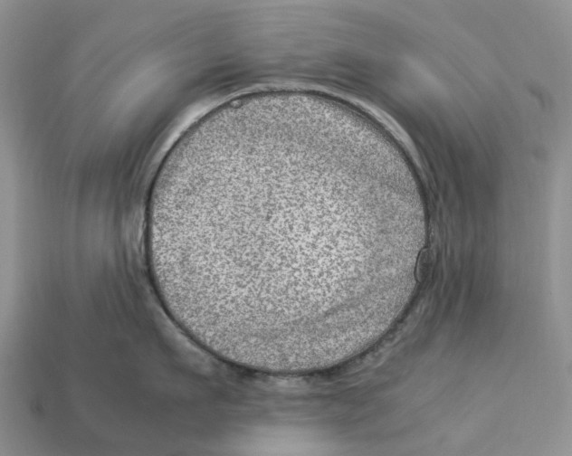 X0000112950911200909211152