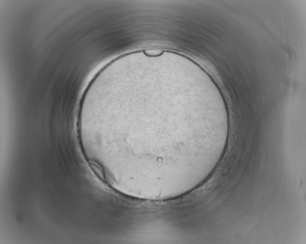 X0000112950912200909211152