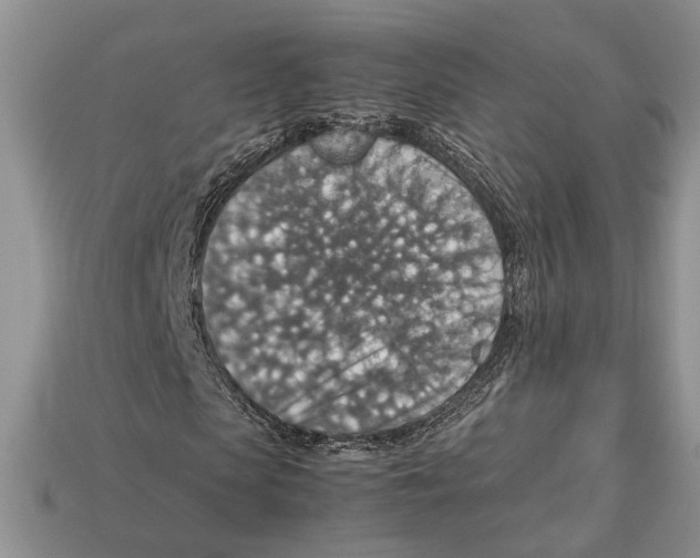 X0000112950913200909211151