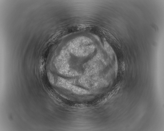 X0000112950914200909211151