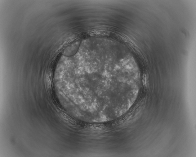 X0000112950915200909211151