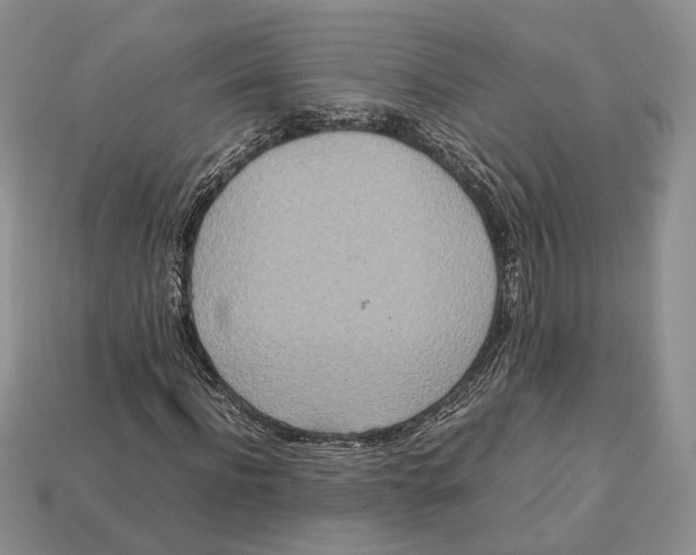 X0000112950916200909211151