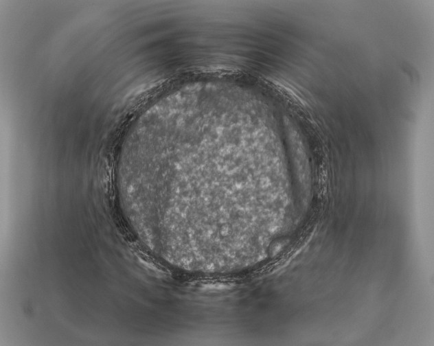 X0000112950917200909211151